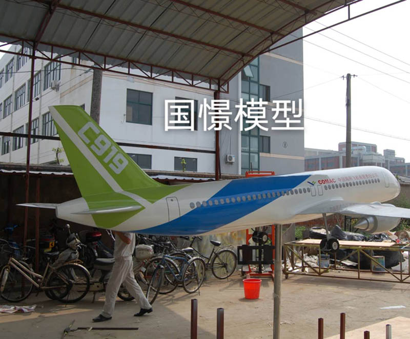 贡嘎县飞机模型